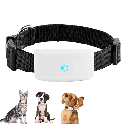 Smart dog collar with GPS tracker and waterproof design — best smart collar for dogs and cats.