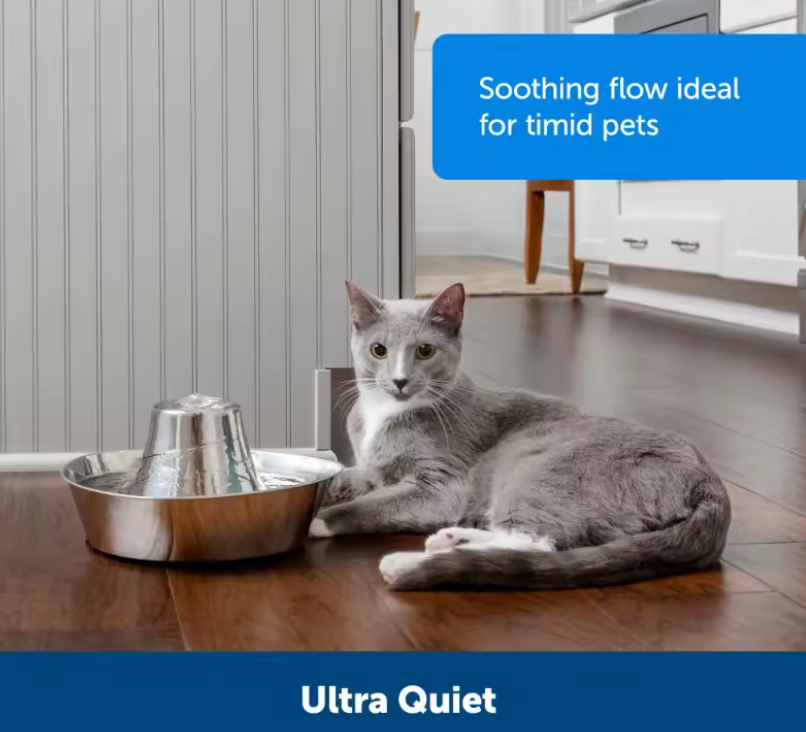 Stainless Steel Pet Water Fountain for Cats and Dogs – 60 oz Automatic Fresh Water Dispenser