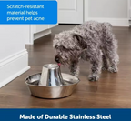 Stainless Steel Pet Water Fountain for Cats and Dogs – 60 oz Automatic Fresh Water Dispenser